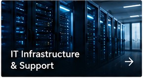 IT Infrastructure & Support service by The Oasis Enterprise